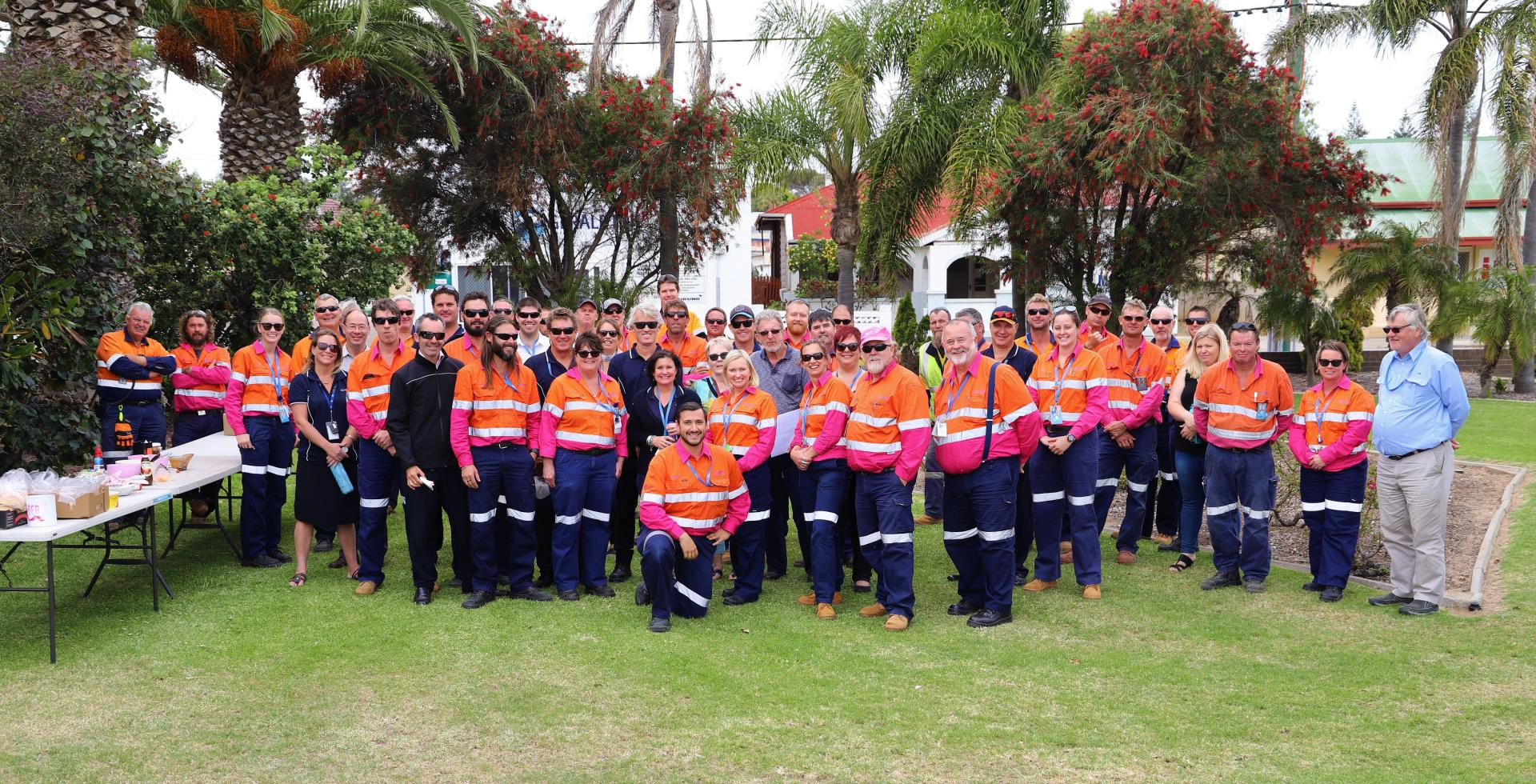 MWPA have gone pink for Breast Cancer Awareness month