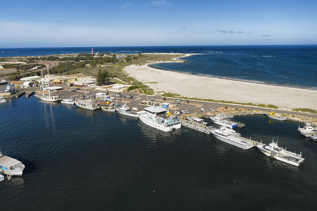 Line of boats berthed at main wharf of Fishing Boat Harbour. Ocean and Point Moore Lighthouse in background.