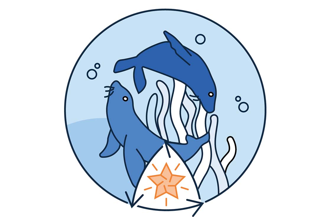 Icon drawing of two seals swimming underwater with a star below and seaweed in background.